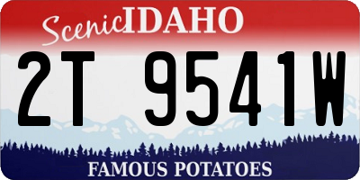 ID license plate 2T9541W