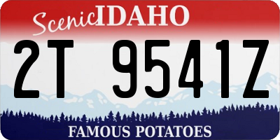 ID license plate 2T9541Z