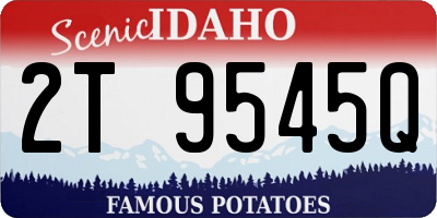 ID license plate 2T9545Q