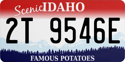 ID license plate 2T9546E