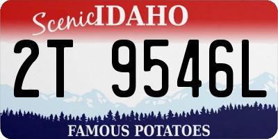 ID license plate 2T9546L