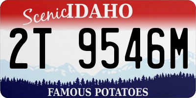 ID license plate 2T9546M
