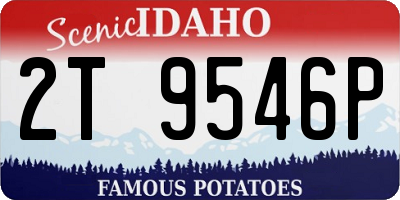 ID license plate 2T9546P