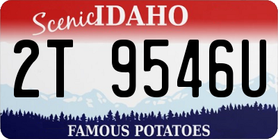 ID license plate 2T9546U