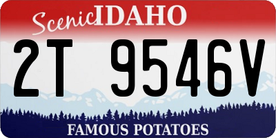 ID license plate 2T9546V