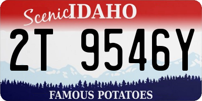 ID license plate 2T9546Y