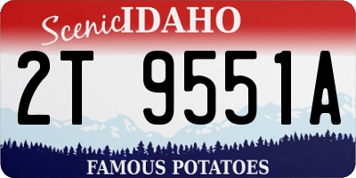 ID license plate 2T9551A