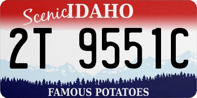 ID license plate 2T9551C