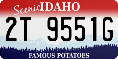 ID license plate 2T9551G