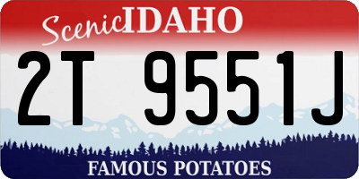 ID license plate 2T9551J