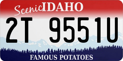 ID license plate 2T9551U