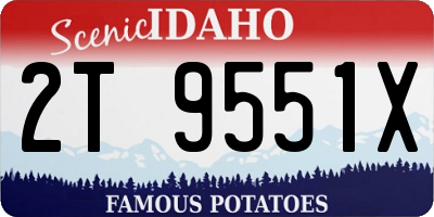 ID license plate 2T9551X