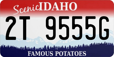 ID license plate 2T9555G