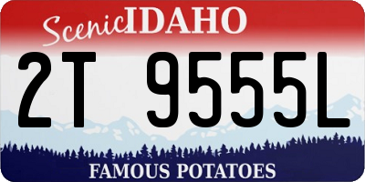 ID license plate 2T9555L
