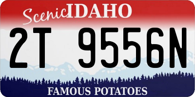 ID license plate 2T9556N