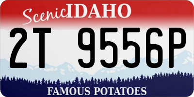 ID license plate 2T9556P