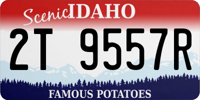 ID license plate 2T9557R