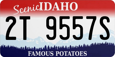 ID license plate 2T9557S