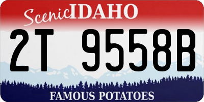 ID license plate 2T9558B