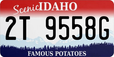 ID license plate 2T9558G