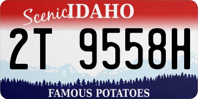 ID license plate 2T9558H