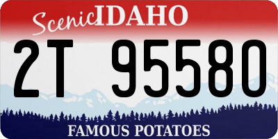 ID license plate 2T9558O
