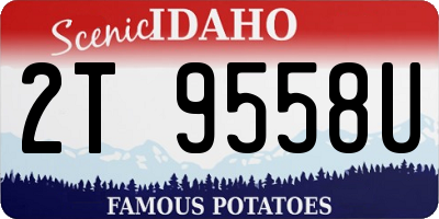 ID license plate 2T9558U