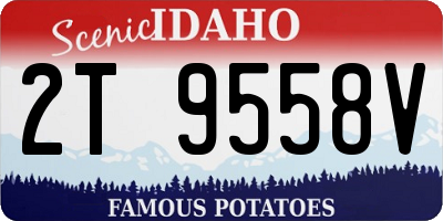 ID license plate 2T9558V