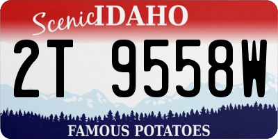 ID license plate 2T9558W