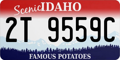 ID license plate 2T9559C