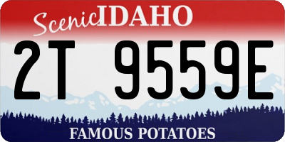 ID license plate 2T9559E