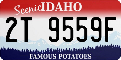 ID license plate 2T9559F