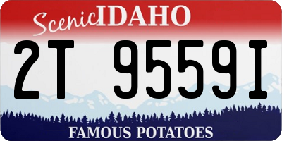 ID license plate 2T9559I