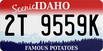 ID license plate 2T9559K