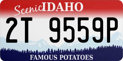 ID license plate 2T9559P