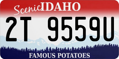 ID license plate 2T9559U