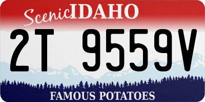 ID license plate 2T9559V