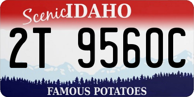 ID license plate 2T9560C
