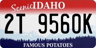 ID license plate 2T9560K