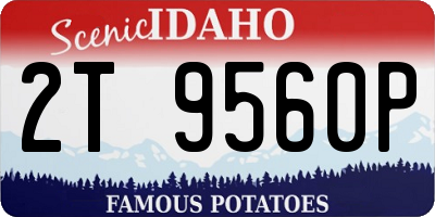 ID license plate 2T9560P