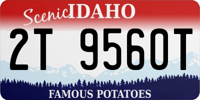 ID license plate 2T9560T
