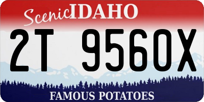 ID license plate 2T9560X