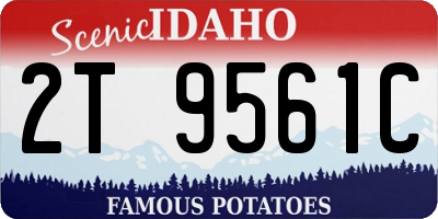 ID license plate 2T9561C