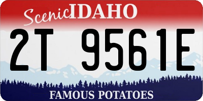 ID license plate 2T9561E