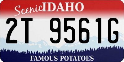 ID license plate 2T9561G