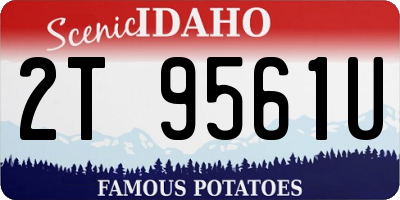 ID license plate 2T9561U