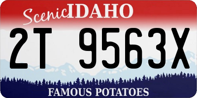 ID license plate 2T9563X