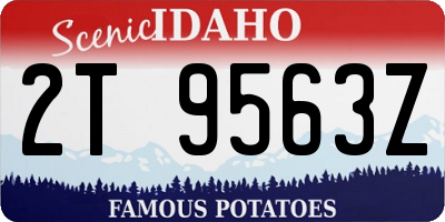 ID license plate 2T9563Z