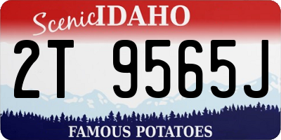 ID license plate 2T9565J