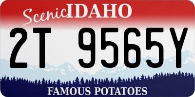 ID license plate 2T9565Y